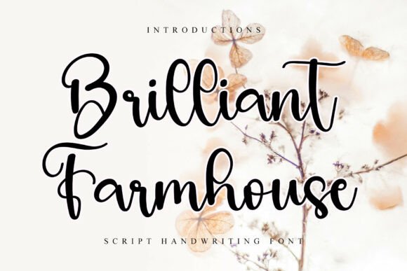 Brilliant Farmhouse Font for Handmade Branding