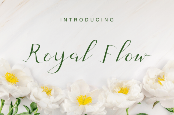 Elevate Your Brand with Royal Flow Script Font