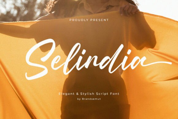 Selindia Font: Elevate Your Campaigns with Elegant Script
