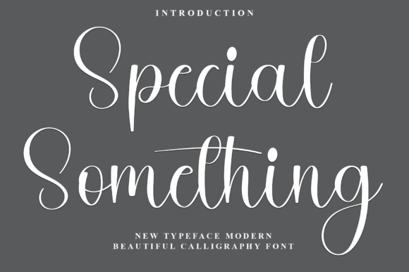Special Something: The Modern Script Font for Brands