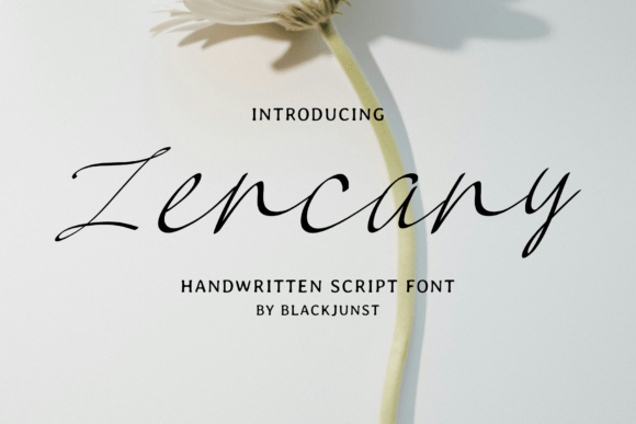 Zencany Font Review: Elegant Script for Branding